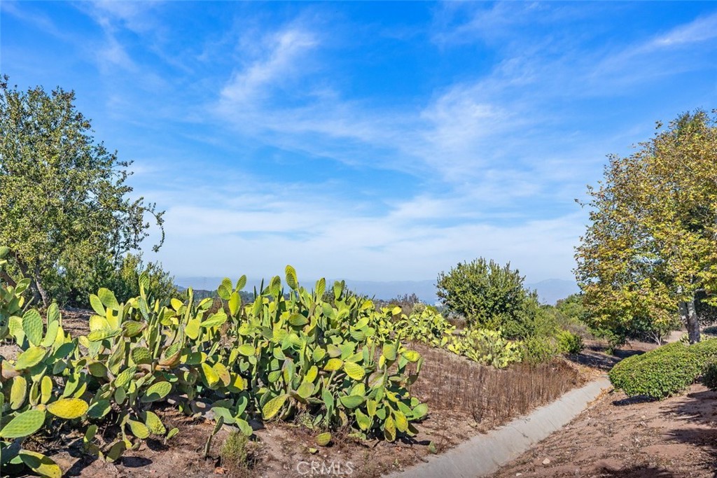 MLS #PW25280340 image #37