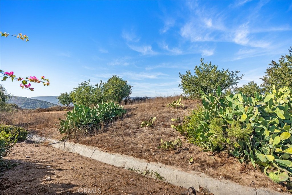 MLS #PW25280340 image #38