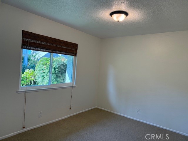 MLS #PW26000162 image #12