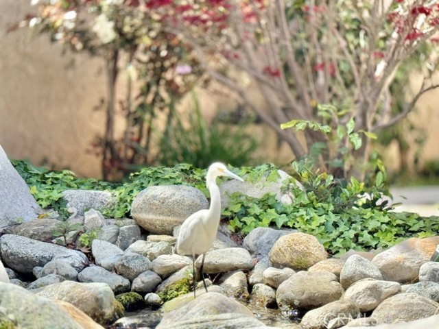 MLS #RS25100646 image #43