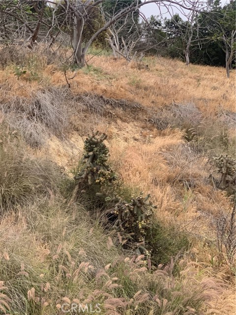 MLS #RS25112065 image #1