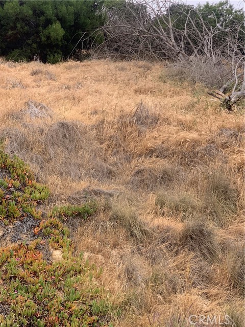 MLS #RS25112065 image #3