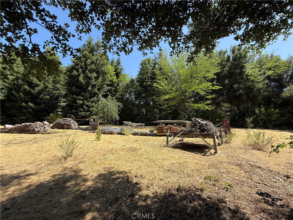 MLS #RS25113331 image #55