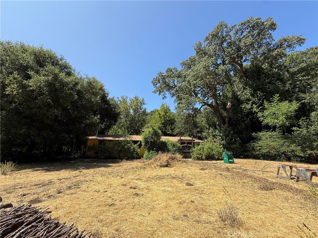 MLS #RS25113331 image #56