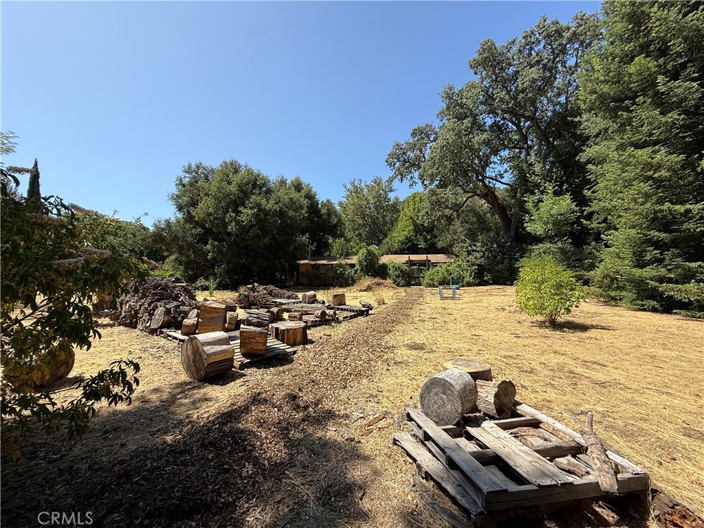 MLS #RS25113331 image #58