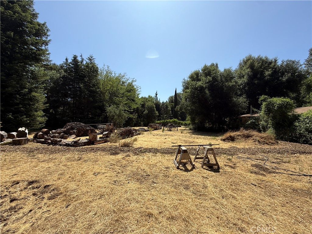 MLS #RS25113331 image #59