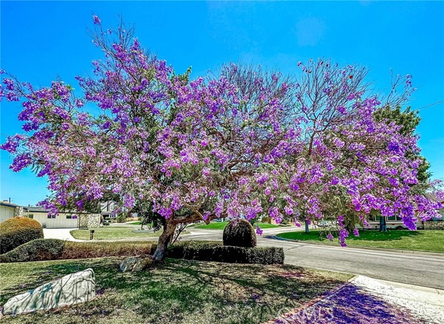 MLS #RS25141093 image #30