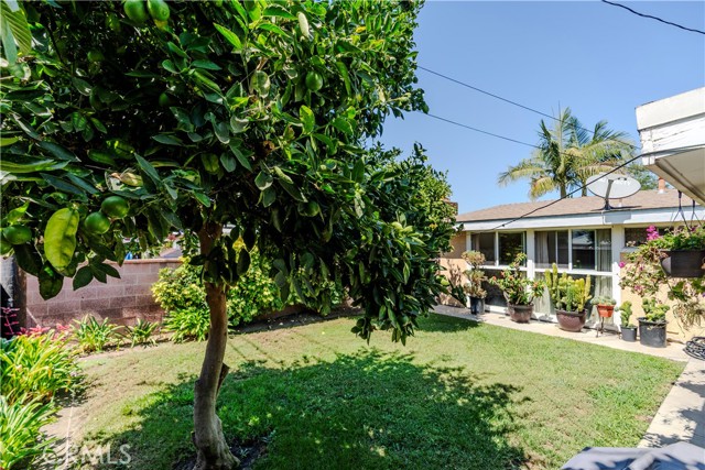 MLS #RS25164330 image #42