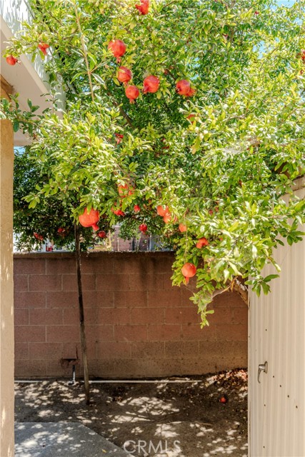 MLS #RS25164330 image #44