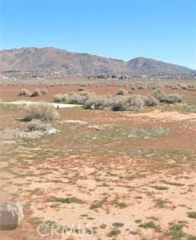 MLS #RS25166683 image #5