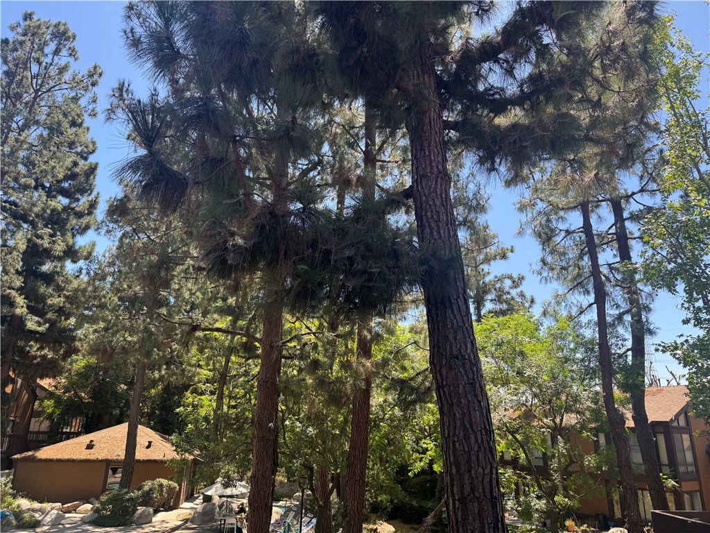 MLS #RS25171695 image #23