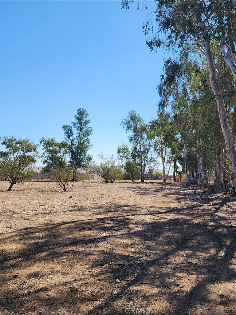 MLS #RS25185542 image #15