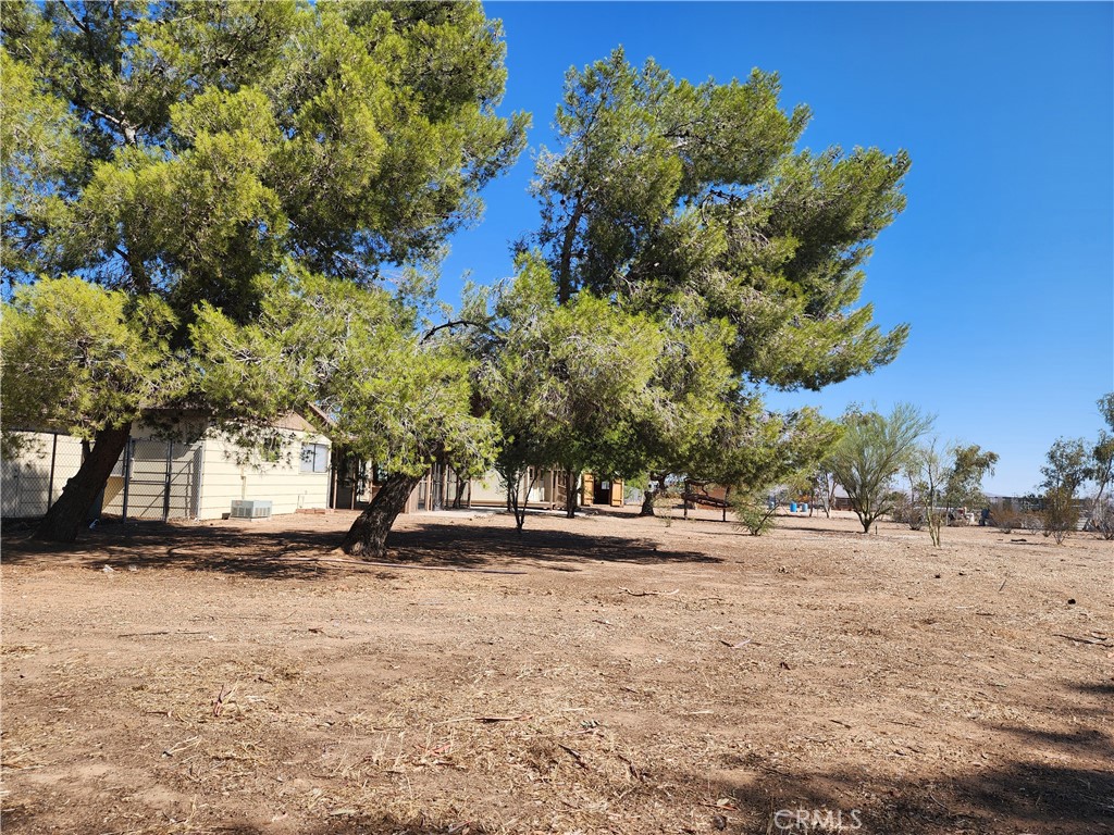 MLS #RS25185542 image #16