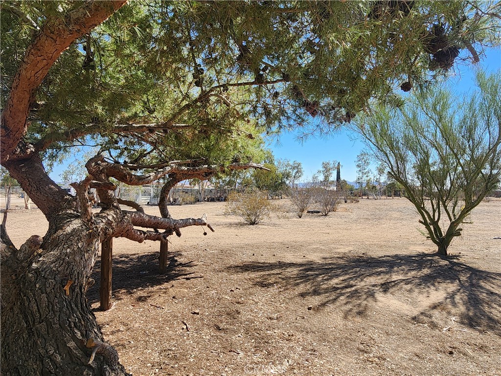 MLS #RS25185542 image #17