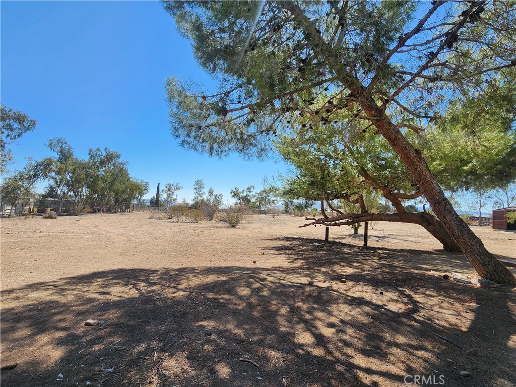 MLS #RS25185542 image #19