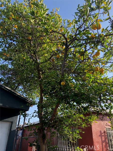 MLS #RS25200614 image #3