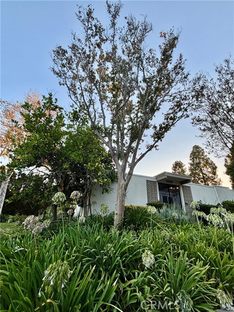 MLS #RS25215720 image #35