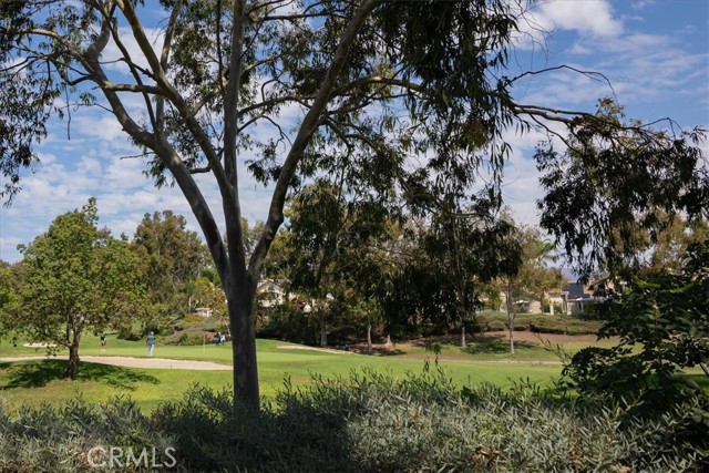 MLS #RS25224352 image #49