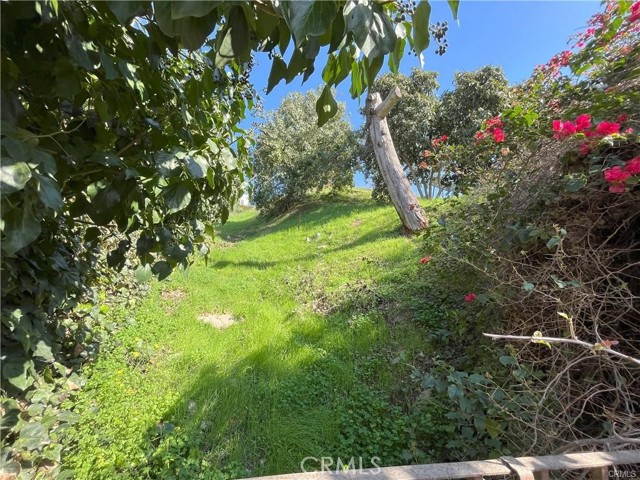 MLS #RS25224864 image #21