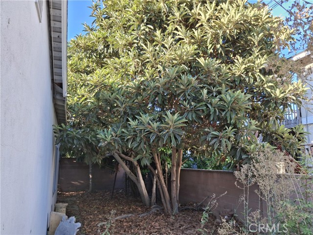 MLS #RS25224955 image #15