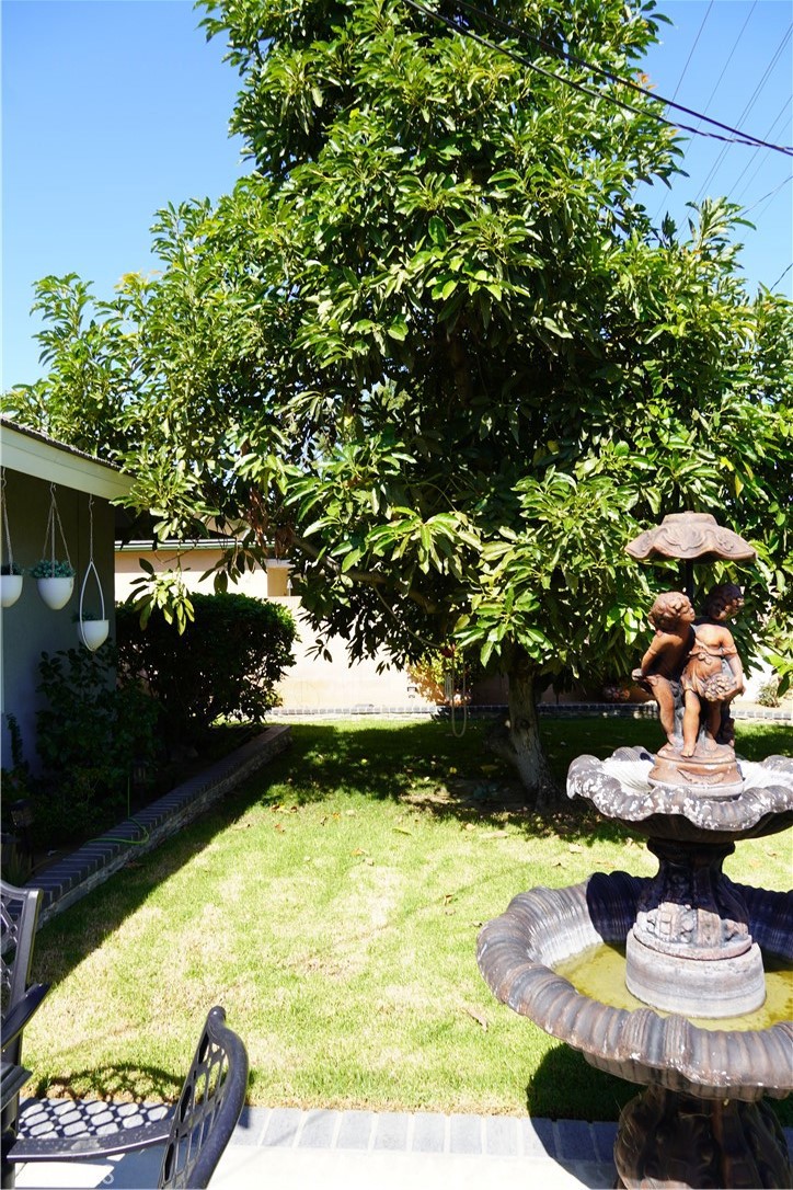 MLS #RS25230652 image #46