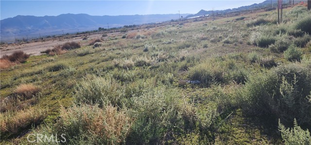 MLS #RS25232464 image #0