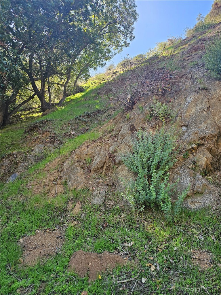 MLS #RS25253328 image #0