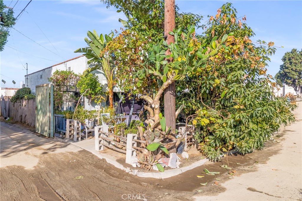 MLS #RS25258868 image #5