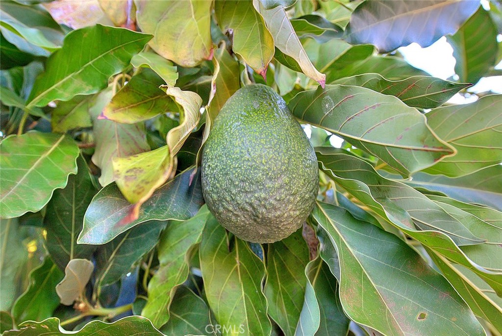 MLS #RS25266420 image #23