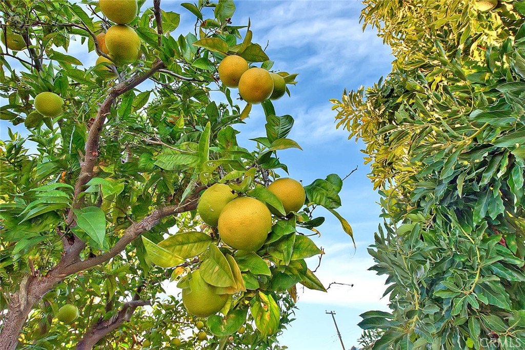 MLS #RS25266420 image #24