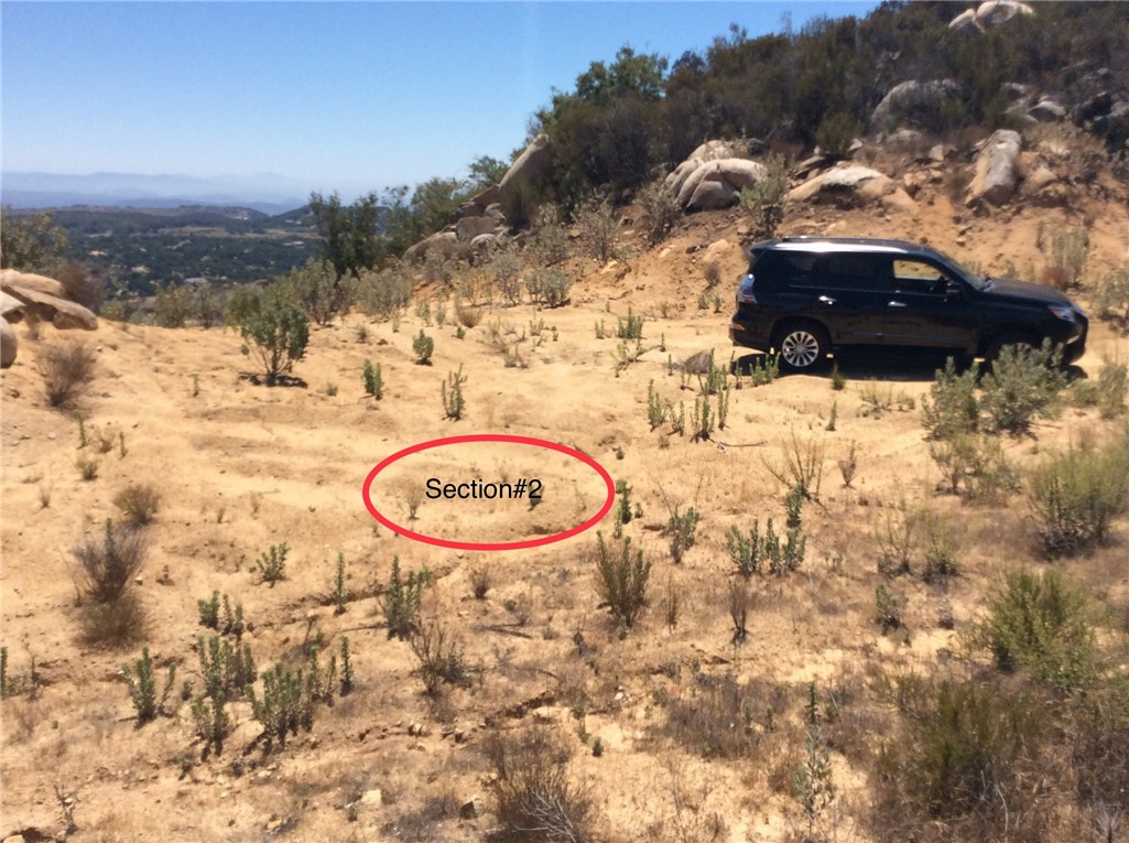 MLS #RS25267657 image #22