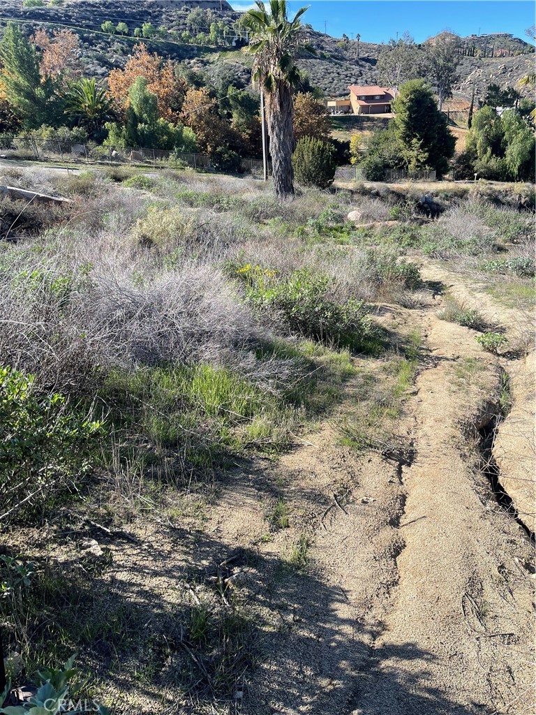 MLS #RS25271102 image #13