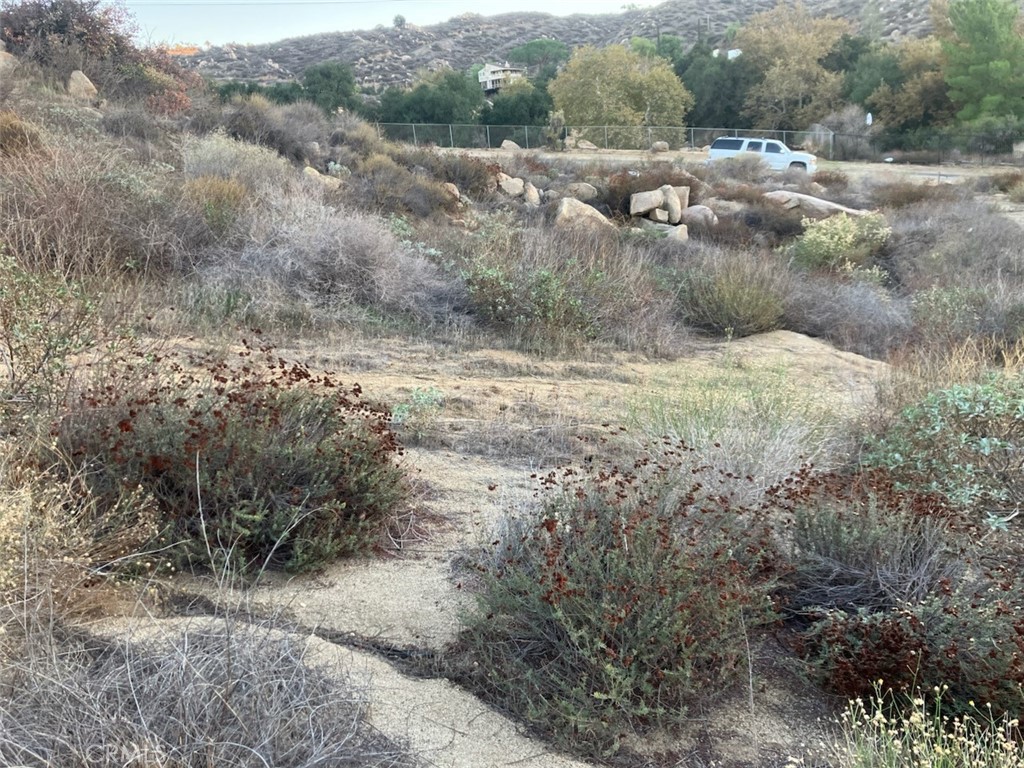 MLS #RS25271102 image #3