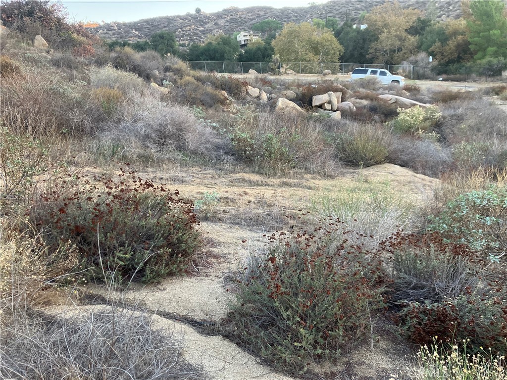 MLS #RS25271102 image #4