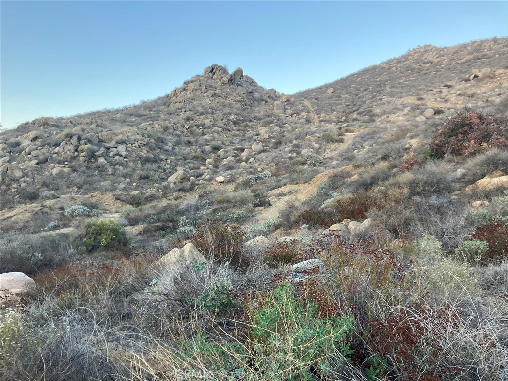 MLS #RS25271102 image #5