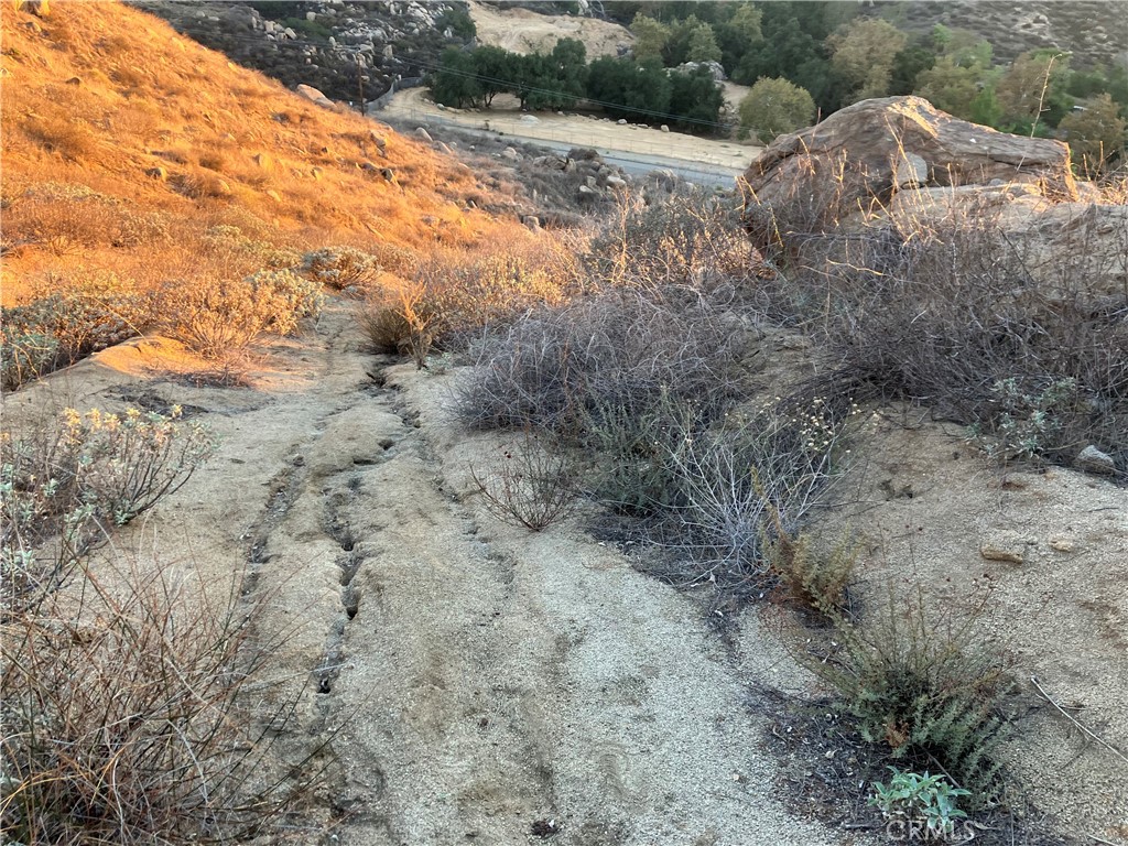 MLS #RS25271102 image #8