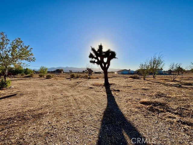 MLS #RS25271733 image #4