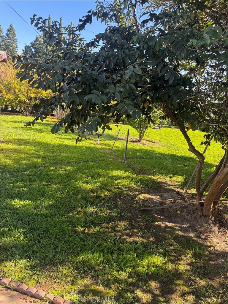 MLS #RS25277565 image #21