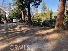 MLS #RW24079976 image #1