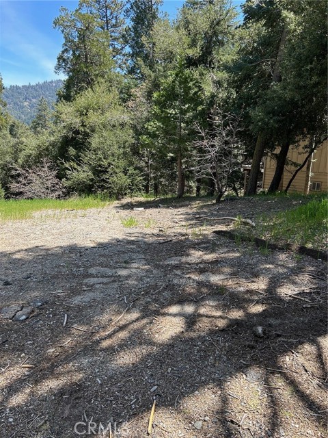 MLS #RW24079976 image #3