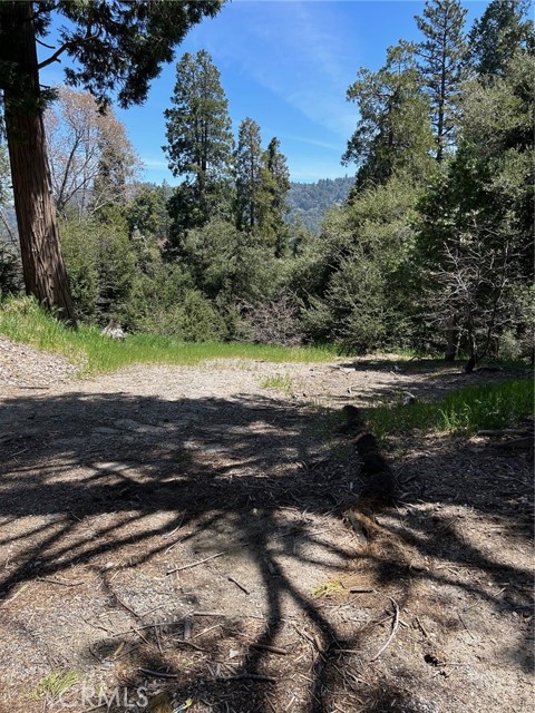 MLS #RW24079976 image #4