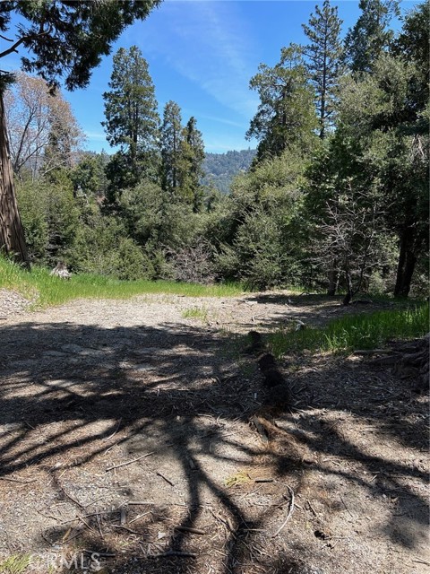 MLS #RW24079976 image #5