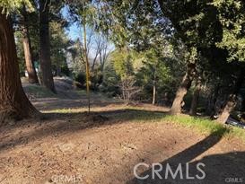 MLS #RW24079976 image #6