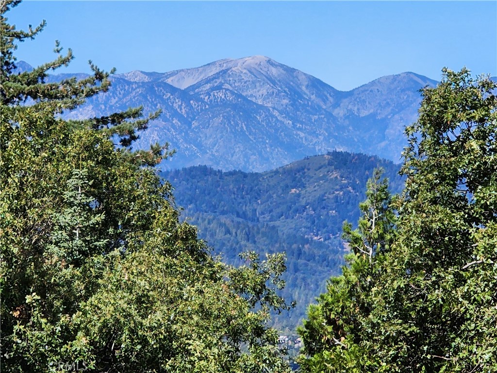 MLS #RW24084913 image #1