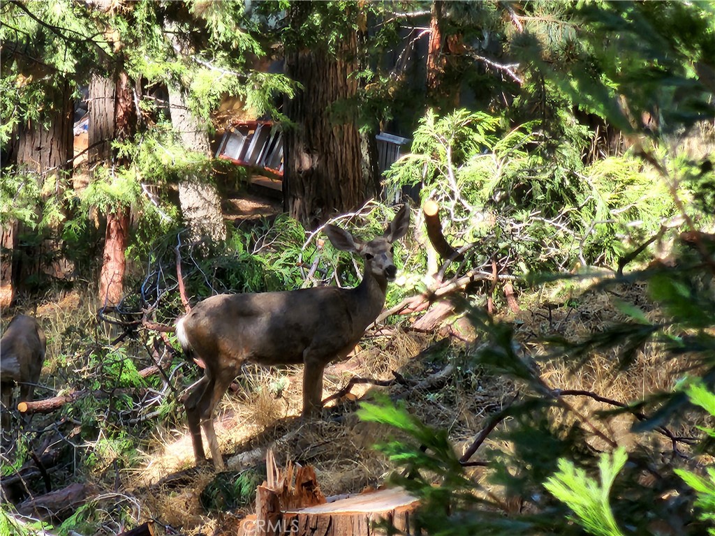 MLS #RW24084913 image #10