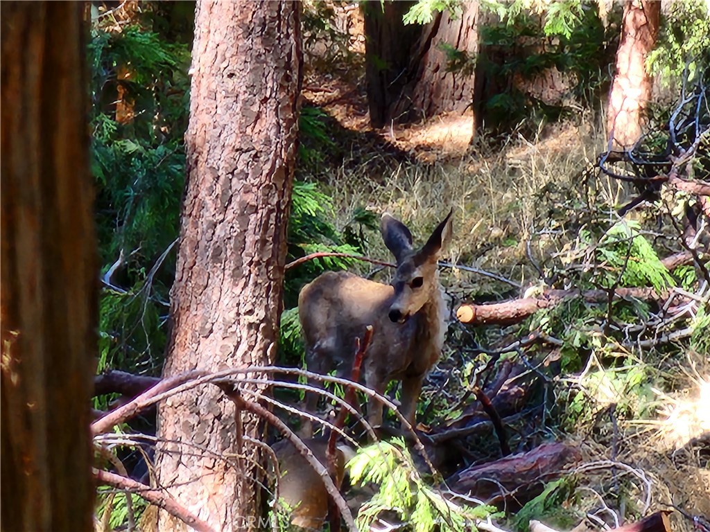 MLS #RW24084913 image #11