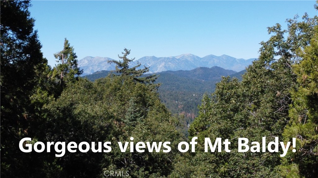 MLS #RW24084913 image #2