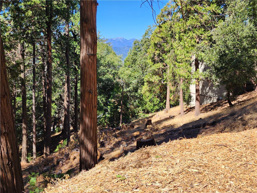 MLS #RW24084913 image #4