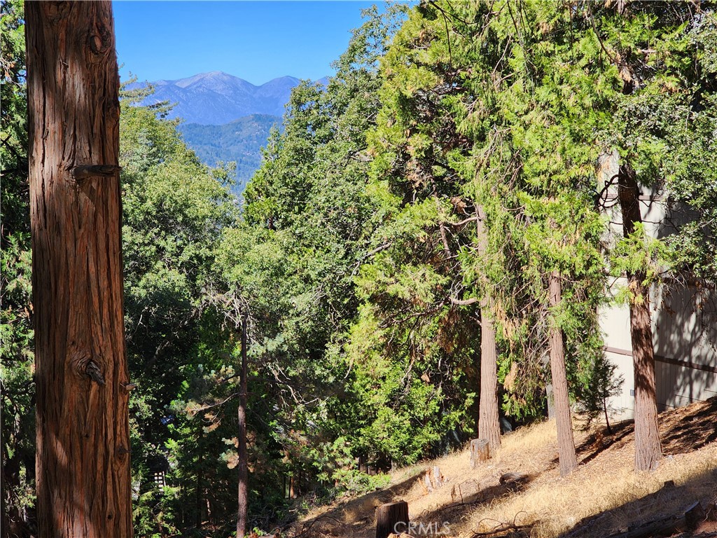 MLS #RW24084913 image #5