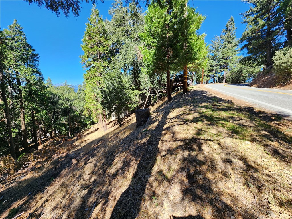 MLS #RW24084913 image #6